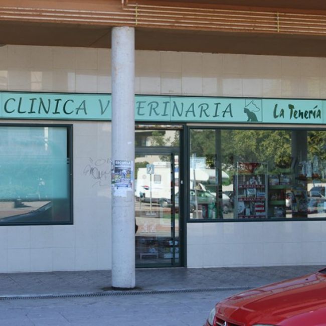 Clínica veterinaria en Pinto