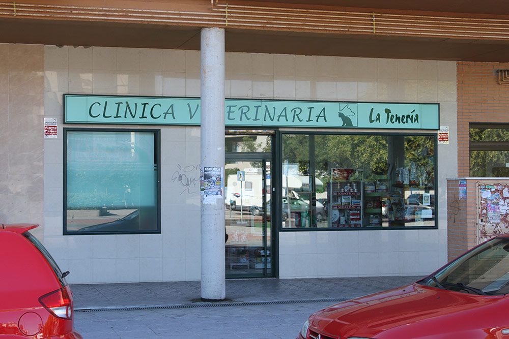 Clínica veterinaria en Pinto